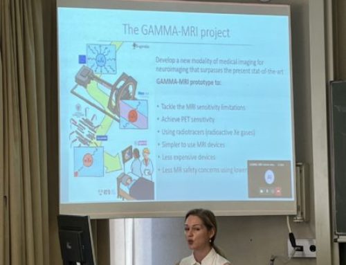 GAMMA-MRI project review meeting